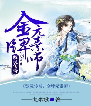 完整版《驭灵传奇：金牌元素师》免费阅读