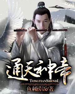通天神帝沈白沈立小说大结局免费试读