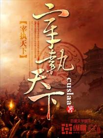 《宰执天下》小说主角韩冈李癞子全文章节免费在线阅读