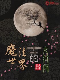 魔法世界的女符师免费阅读，魔法世界的女符师刘慈小排