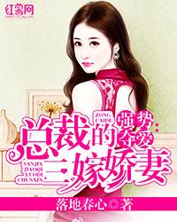 曼亚沈奕沈世安小说《总裁的三嫁娇妻》在线阅读