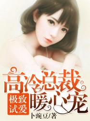 极致试爱：高冷总裁暖心宠免费阅读，极致试爱：高冷总裁暖心宠千宁江氏靳褚西喻千宁-优文网
