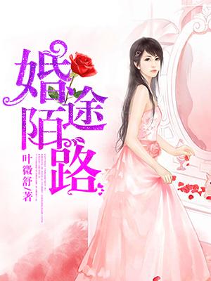 完整版《婚途陌路》全文阅读