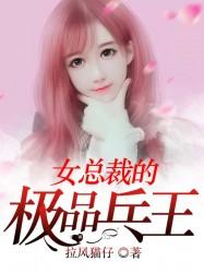 女总裁的极品兵王苏总孟南小说免费阅读-经典文学