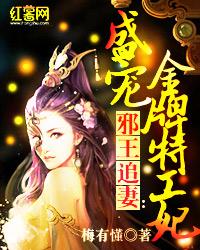 盛宠金牌特工妃小说，盛宠金牌特工妃在线阅读