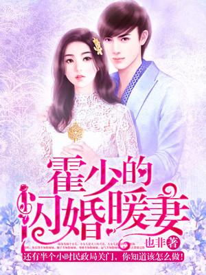 霍少的闪婚暖妻免费阅读，霍少的闪婚暖妻陆一刘婉宁-优文网