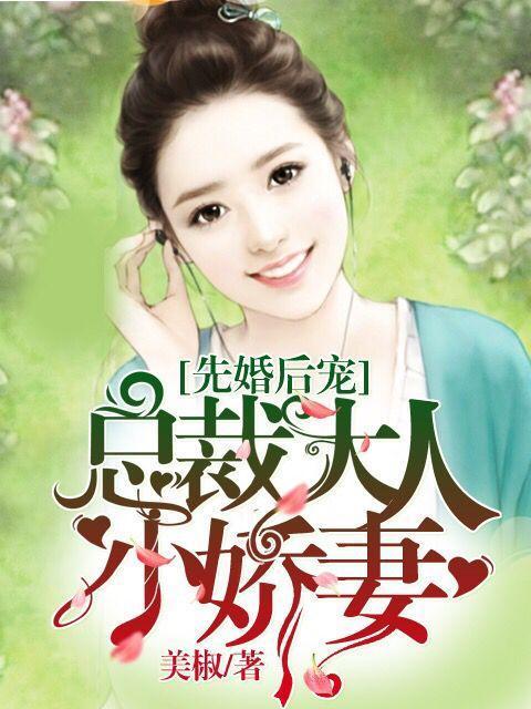 先婚后宠：总裁大人小娇妻夏夏晴空邢文静徐菲在线全文免费阅读