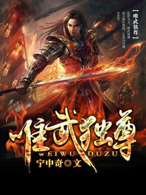 唯武独尊小说阅读，唯武独尊完整版