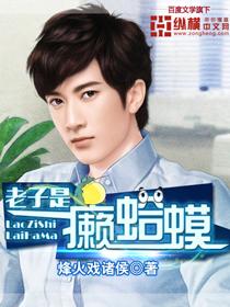 老子是癞蛤蟆（赵甲第 李枝锦）在线免费阅读