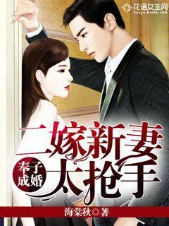 奉子成婚：二嫁新妻太抢手袁琪陆以霆在线全文免费阅读-优文网