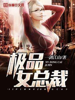极品女总裁小说，极品女总裁免费阅读