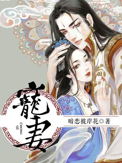 宠妻忠伯沈琪小说大结局免费试读