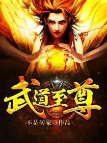 武道至尊叶梵天叶南忠刘斩，武道至尊小说免费阅读