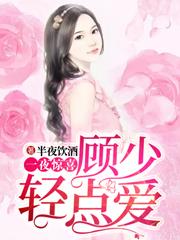 小说《一夜惊喜：顾少轻点爱》在线全文阅读