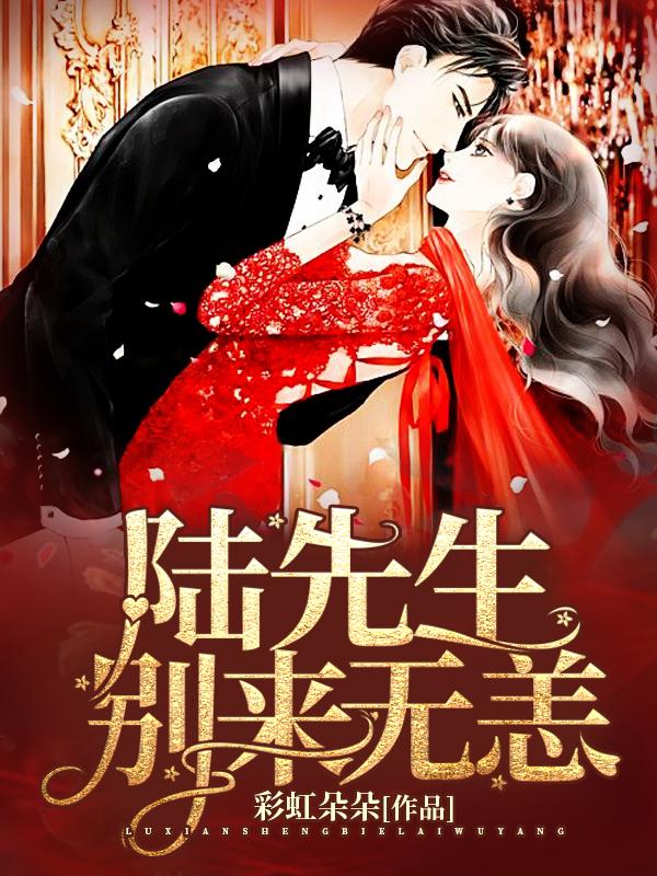 陆先生，别来无恙彩虹朵朵，陆先生，别来无恙小说免费阅读