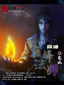 已完结小说《网游之巅峰法师》在线全文阅读