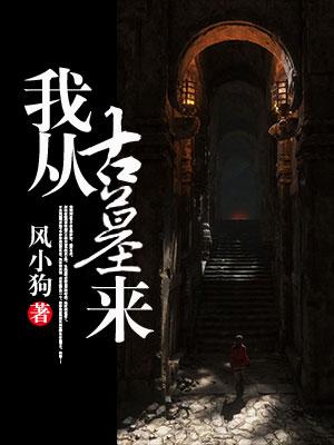 我从古墓来最新章节，我从古墓来免费阅读-优文网