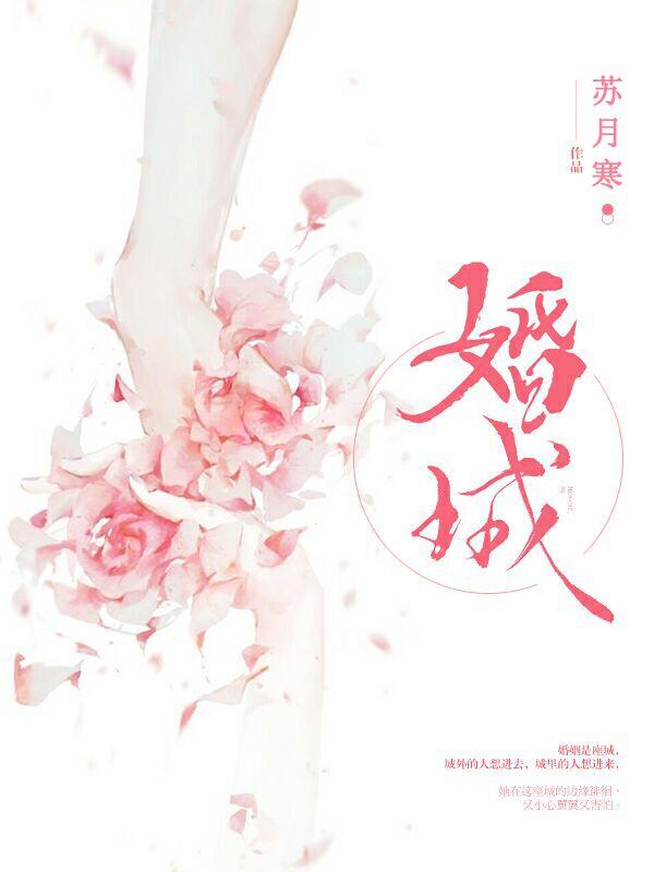 婚城齐岚陈荣赵逸云赵端小说免费阅读