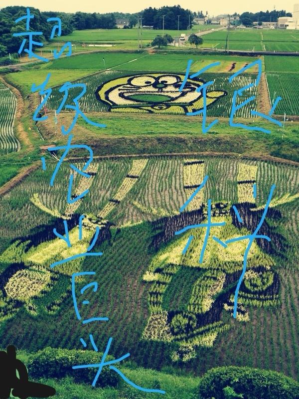 王青杨敏小说《超级农业巨头》在线阅读