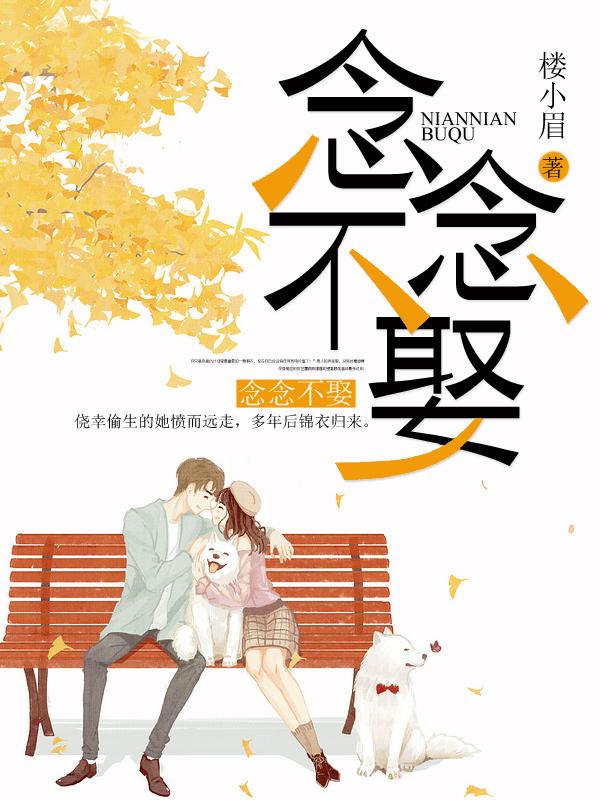 小说《念念不娶》全文免费阅读