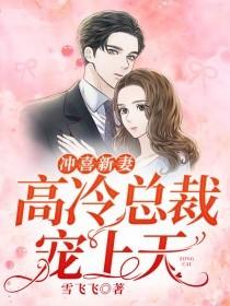 冲喜新妻：高冷总裁宠上天小说阅读，冲喜新妻：高冷总裁宠上天完整版-优文网
