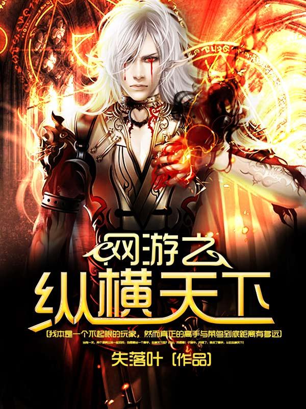 网游之纵横天下小说完整版全文免费阅读