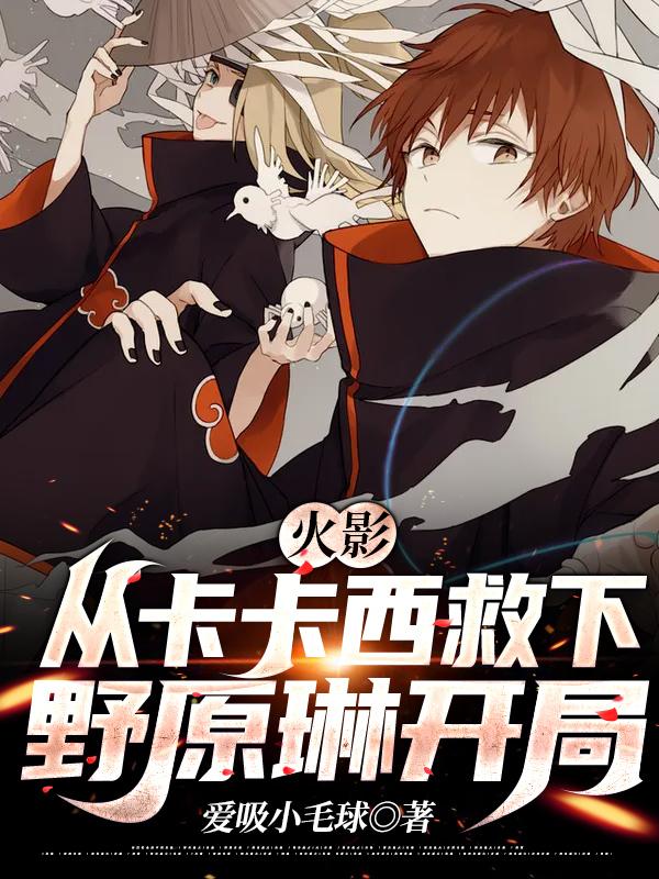 火影：从卡卡西救下野原琳开局免费阅读，火影：从卡卡西救下野原琳开局章节目录