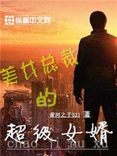 美女总裁的超级女婿宫梦冉陆平公子，美女总裁的超级女婿全文在线阅读-经典文学