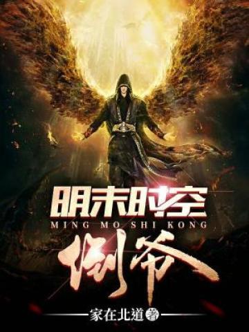 老宋丁成功李静雅小说叫什么（明末时空倒爷免费阅读）