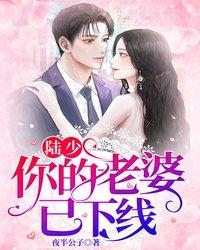 小说《陆少，你的老婆已下线》全文免费阅读