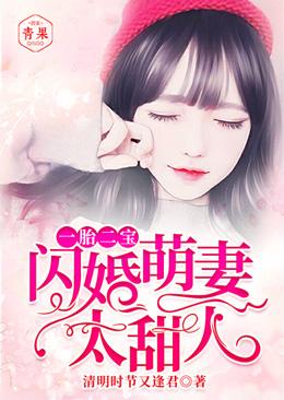 一胎二宝：闪婚萌妻，太甜人！小说，一胎二宝：闪婚萌妻，太甜人！在线阅读-优文网