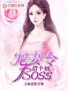 小说《宠妻令：boss，借个婚！》全文阅读-瑞奇文学