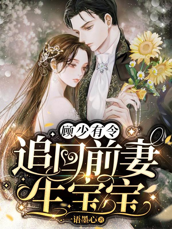 顾少有令：追回前妻生宝宝小说，顾少有令：追回前妻生宝宝全文在线阅读