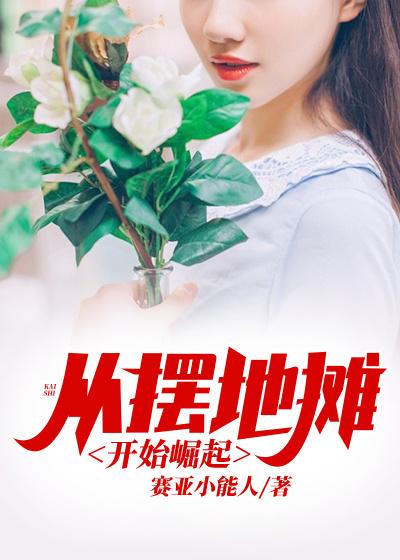 《从摆地摊开始崛起》小说大结局免费试读 陈力林曼小说