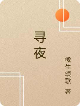 完整版《寻夜》全文阅读