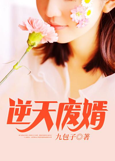 主角陈昊小说完整版在线阅读，逆天废婿免费看-优文网