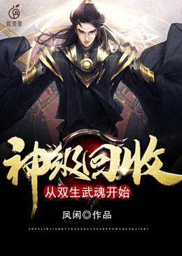 已完结小说《神级回收：从双生武魂开始》在线全文阅读-优文网