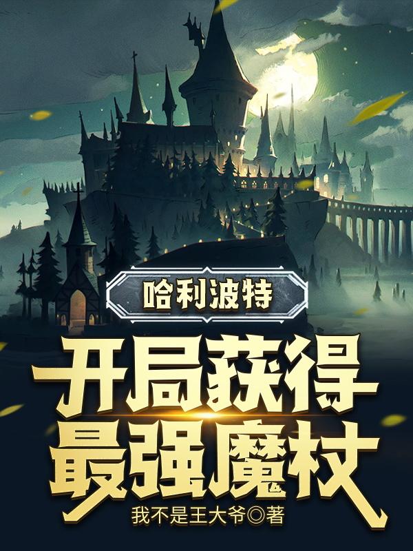 《哈利波特：开局获得最强魔杖》小说全文在线试读，《哈利波特：开局获得最强魔杖》最新章节目录-经典文学