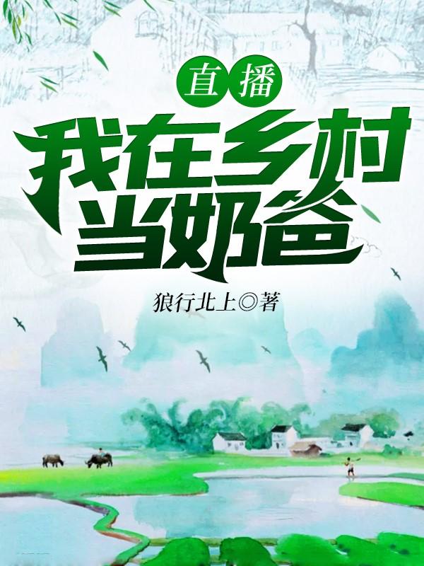直播我在乡村当奶爸小说，直播我在乡村当奶爸免费阅读