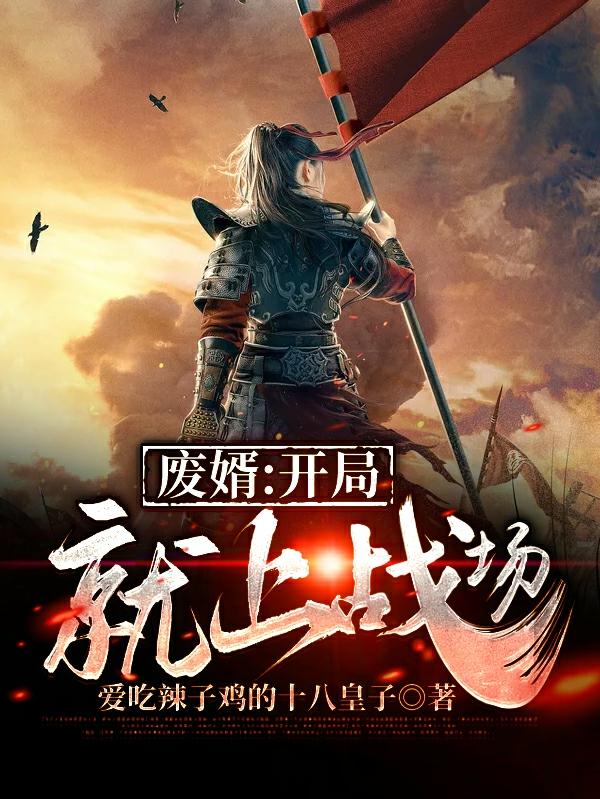 小说《废婿：开局就上战场》全文免费阅读