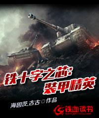 铁十字之芯：装甲精英莱因哈特赫尔穆特小说大结局免费试读