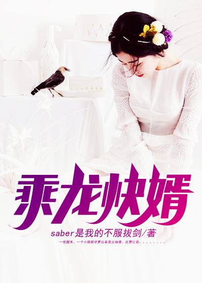 乘龙快婿小说阅读，乘龙快婿完整版