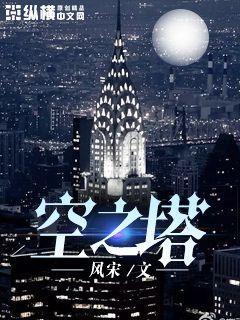 已完结小说《空之塔》全文免费阅读