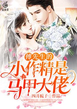 小说《傅先生的小作精是马甲大佬》全文免费阅读-优文网