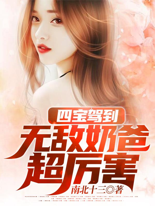 四宝驾到：无敌奶爸超厉害南北十三，四宝驾到：无敌奶爸超厉害小说免费阅读