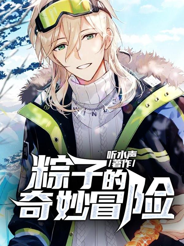 已完结小说《粽子的奇妙冒险》全文免费阅读-经典文学