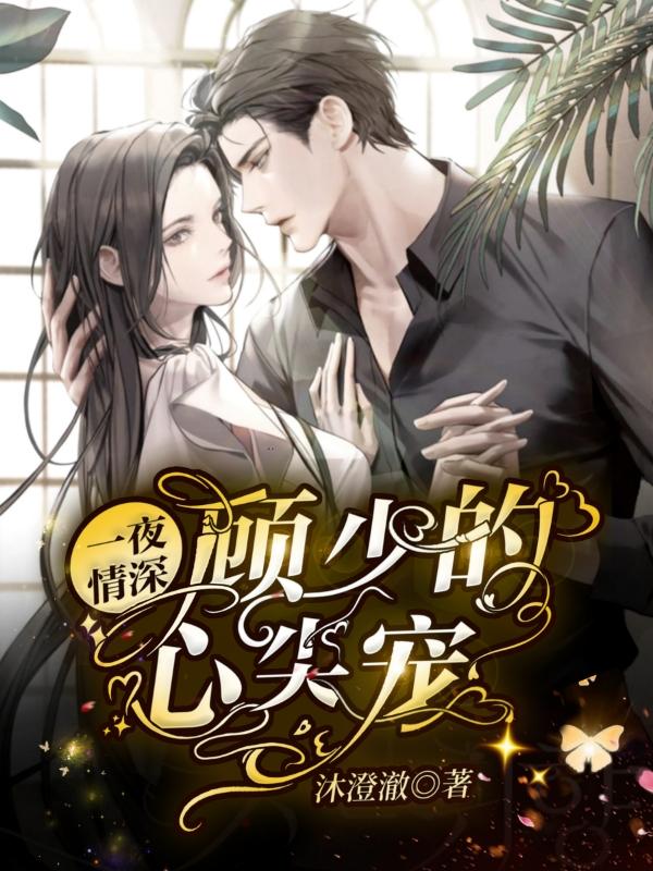 一夜情深：顾少的心尖宠沐澄澈，一夜情深：顾少的心尖宠小说免费阅读