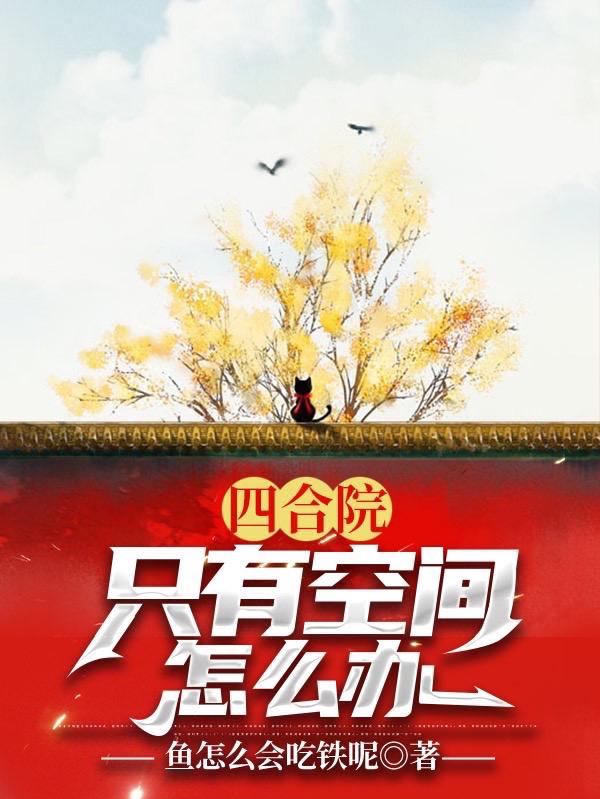 求四合院：只有空间怎么办小说免费资源