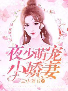 已完结小说《夜少萌宠小娇妻》全文免费阅读