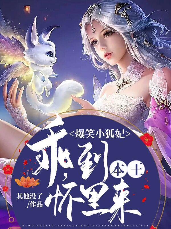 爆笑小狐妃：乖，到本王怀里来其他没了小说免费阅读